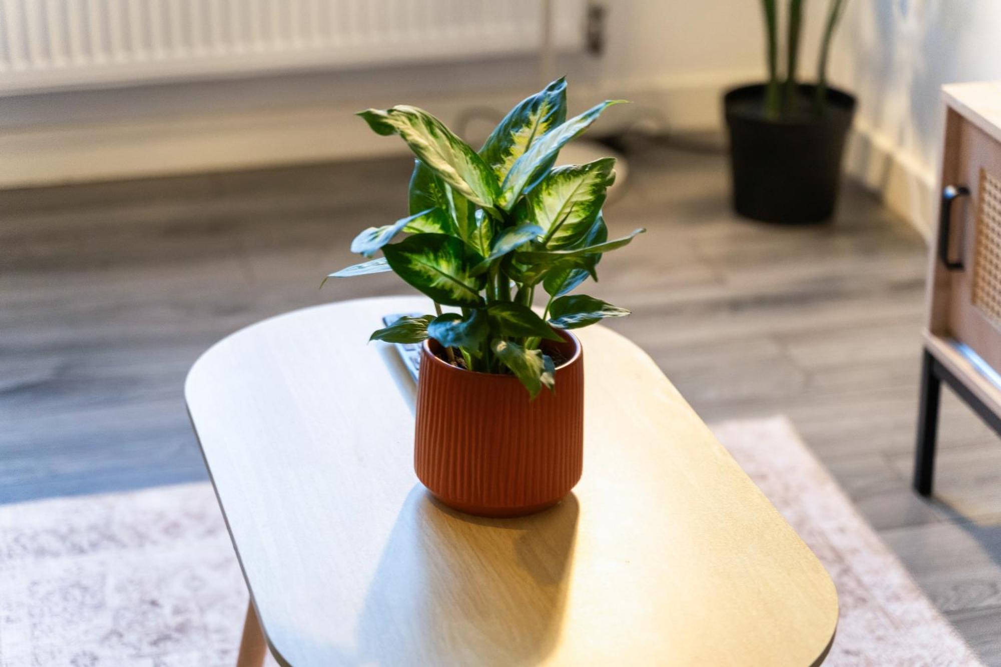 Stylish New Apartment - Free Wifi & Netflix - Top Rated - 3Mh Cradley Heath Extérieur photo